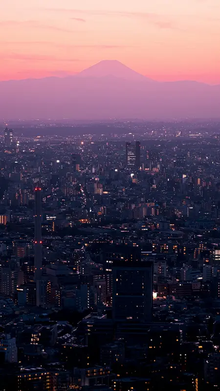 Dave.Tokyo Premium Domain